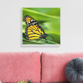 Monarch Butterfly Design Leinwand Print (Insitu (Wohnzimmer))