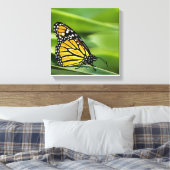Monarch Butterfly Design Leinwand Print (Insitu (Schlafzimmer))