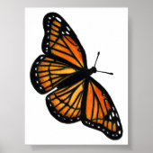 Monarch Butterfly Drawing Colored Pencil Art Poster (Vorne)