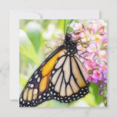 Monarch Butterfly Einladung (Rückseite)