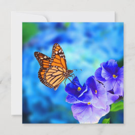 Monarch Butterfly Endangered Wildlife Hi-Def Card