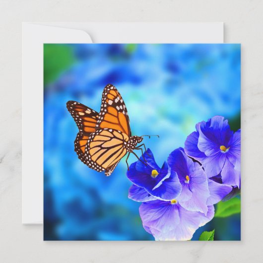 Monarch Butterfly Endangered Wildlife Hi-Def Card (Vorderseite)