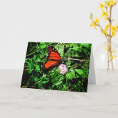 "Monarch Butterfly" erhält Well Card #2 Karte (Gelbe Blume)