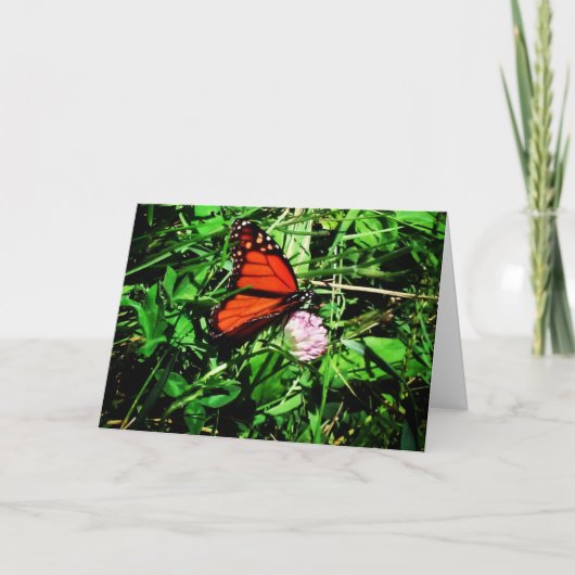 "Monarch Butterfly" erhält Well Card #2 Karte (Vorderseite)