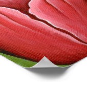 Monarch Butterfly Fairy Cat Fantasy Art Poster (Ecke)