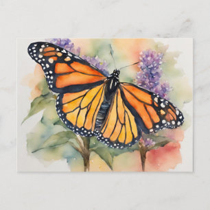 Monarch Butterfly Farbe Druck Postkarte