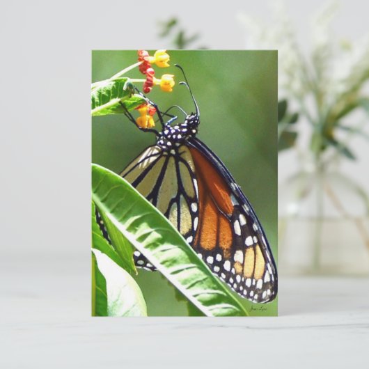 Monarch Butterfly Flat Danke Karte (Stehend Vorderseite)