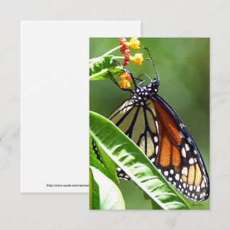 Monarch Butterfly Flat Danke Karte