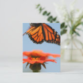 Monarch Butterfly fliegt Postkarte (Stehend Vorderseite)