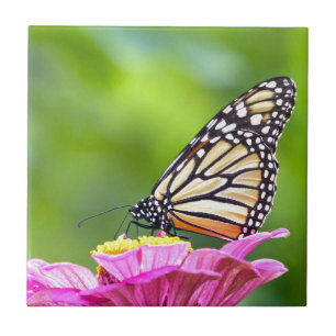Monarch Butterfly Fliese