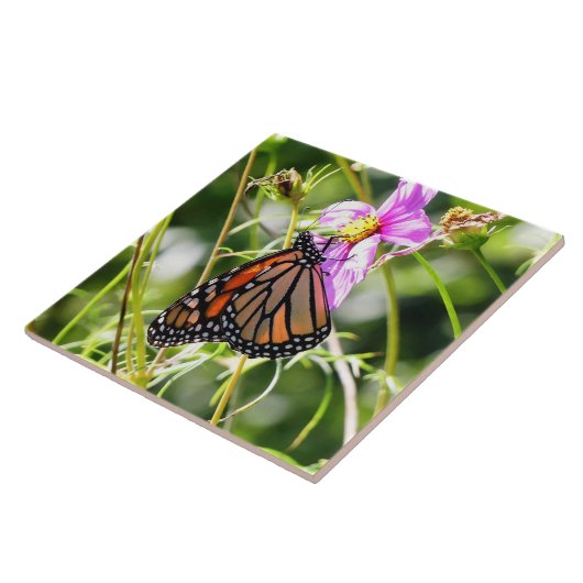 Monarch Butterfly Fliese (Seite)