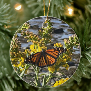 Monarch Butterfly Floral Nature Keramik Ornament