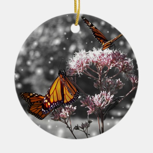 Monarch Butterfly Foto Atemberaubend ADD TEXT Keramik Ornament (Vorne)