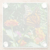 Monarch Butterfly Foto Helle Blume Natur Glasuntersetzer (Rückseite)