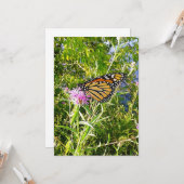 Monarch Butterfly-Foto Karte (Vorderseite/Rückseite Beispiel)