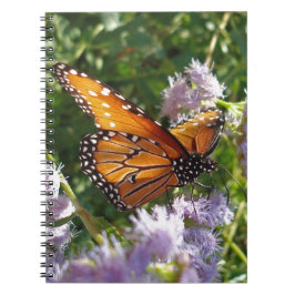 Monarch Butterfly Foto Lila Blume Natur Notizblock