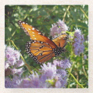 Monarch Butterfly Foto Orange Black Blume Glasuntersetzer