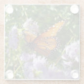 Monarch Butterfly Foto Orange Black Blume Glasuntersetzer (Rückseite)