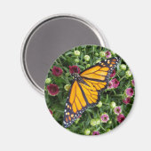 Monarch Butterfly fotografisch Magnet (Vorderseite/Rückseite)