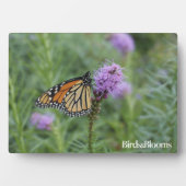 Monarch Butterfly Fotoplatte (Vorderseite)