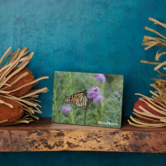 Monarch Butterfly Fotoplatte (Seite)