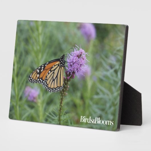 Monarch Butterfly Fotoplatte (Seite)