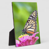 Monarch Butterfly Fotoplatte (Seite)