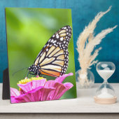 Monarch Butterfly Fotoplatte (Seite)