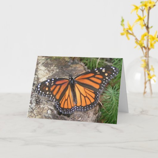 Monarch Butterfly Geburtskarte Karte (Gelbe Blume)