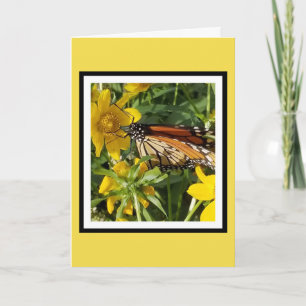 MONARCH BUTTERFLY - GEBURTSTAGSKARTE KARTE