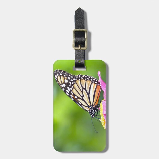 Monarch Butterfly Gepäckanhänger (Vorderseite vertikal)