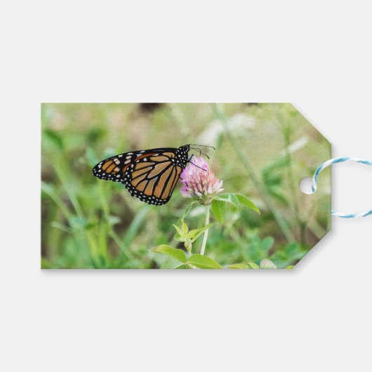 Monarch Butterfly Geschenkanhänger (Vorderseite (Horizontal))