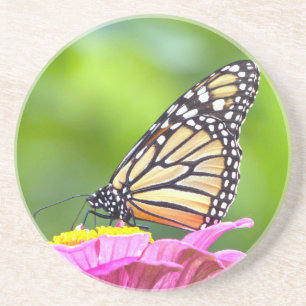 Monarch Butterfly Getränkeuntersetzer