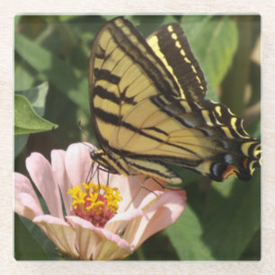 Monarch Butterfly Glass Untersetzer
