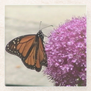 Monarch Butterfly Glass Untersetzer