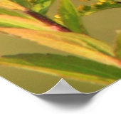 Monarch Butterfly Goldenrod Poster (Ecke)