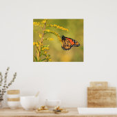 Monarch Butterfly Goldenrod Poster (Küche)