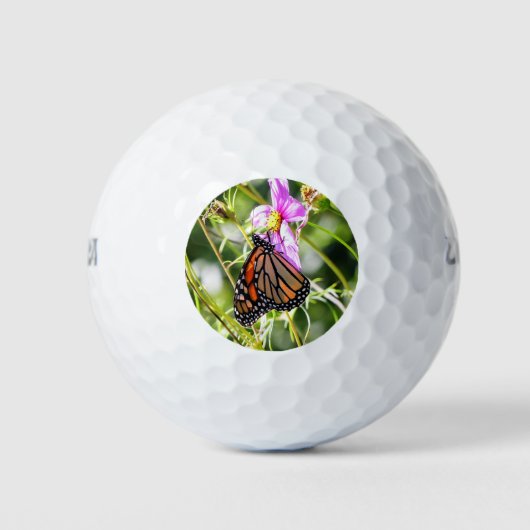 Monarch Butterfly Golfball (Vorderseite)
