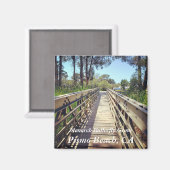 Monarch Butterfly Grove: Pismo Beach, CA: Magnet (Vorderseite/Rückseite)