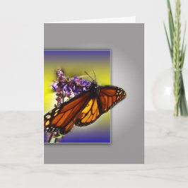 Monarch Butterfly Grüße Karte