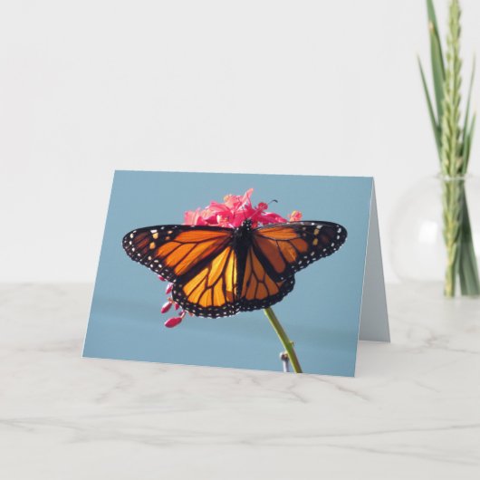 Monarch Butterfly Grußkarte Karte (Vorderseite)