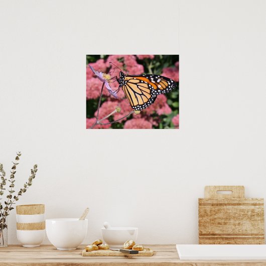 Monarch Butterfly I Poster (Küche)