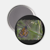 Monarch Butterfly im Gras Magnet (Vorderseite/Rückseite)