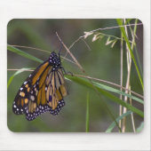 Monarch Butterfly im Gras Mousepad (Vorne)