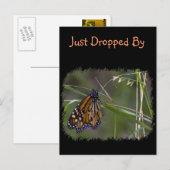 Monarch Butterfly im Gras Postkarte (Vorne/Hinten)