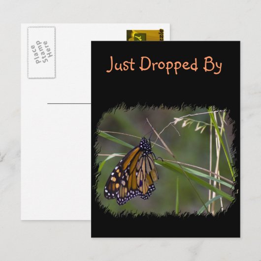 Monarch Butterfly im Gras Postkarte (Vorne/Hinten)