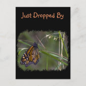 Monarch Butterfly im Gras Postkarte (Vorderseite)