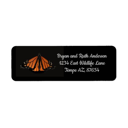 Monarch Butterfly im Schlüssel von Orange (Vorne)