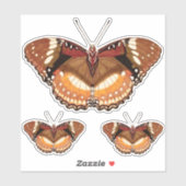 Monarch Butterfly in Brown, Rost und Creme Aufkleber (Blatt)