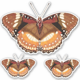 Monarch Butterfly in Brown, Rost und Creme Aufkleber